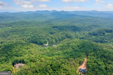 0 Meadowlands Dr unit 10535692, Talking Rock, GA 30175 - photo 7