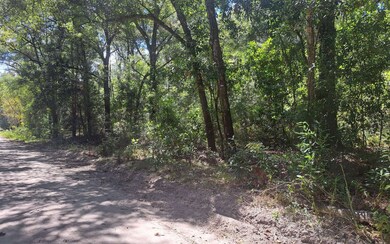 TBD 39th Ln, Branford, FL 32008 - photo 7