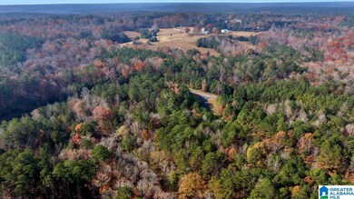 0 Long Point Rd unit 21437458, Double Springs, AL 35553 - photo 7