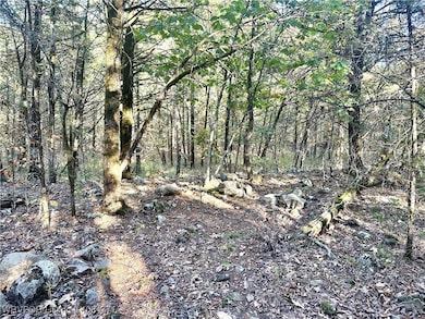 Tract 3 Benson Ln, Heavener, OK 74937 - photo 7