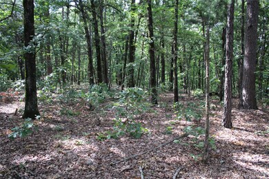 311 U S 59, Jay, OK 74346 - photo 4