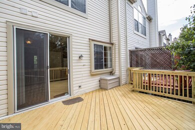 5137 Beauregard St, Alexandria, VA 22312 - photo 6