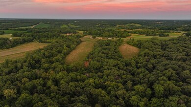 11555 Swallow Blvd, Floris, IA 52560 - photo 4