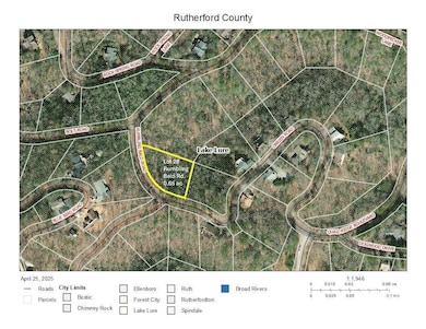 0 Rumbling Bald Rd unit 28 CAR4246158, Lake Lure, NC 28746 - photo 3
