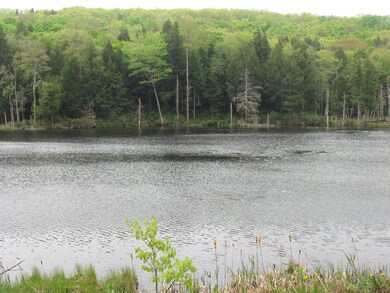 Royal Pond