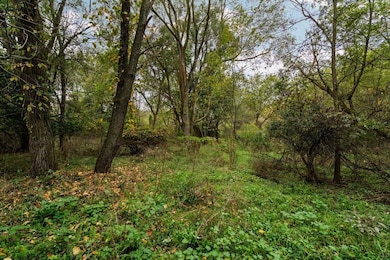 20241002221232606881000000-o