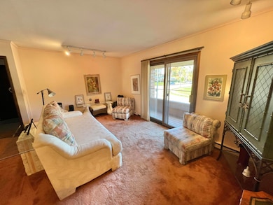 Spacious living room