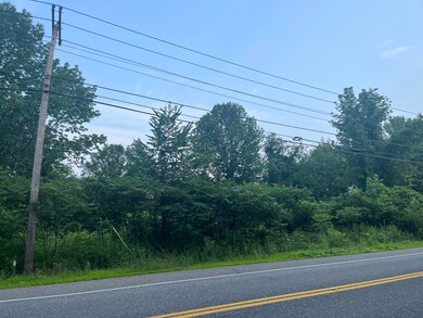 IMG_2577