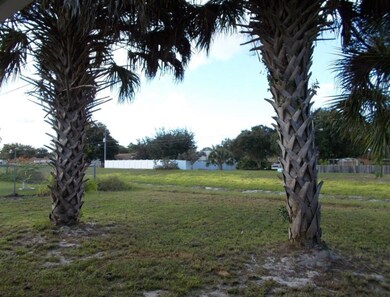 Twin Palms....backyard view.