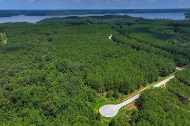 1210 Edge Ln, Tignall, GA 30668 - photo 6