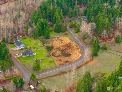 0 XX Country Dr E, Graham, WA 98338 - photo 2