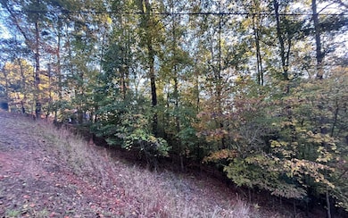 Additional View