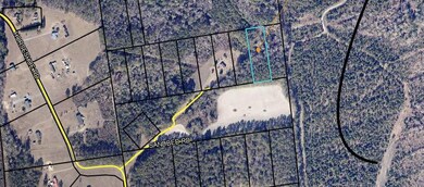 0 Sandbed Rd unit 168674, Pamplico, SC 29583 - photo 4