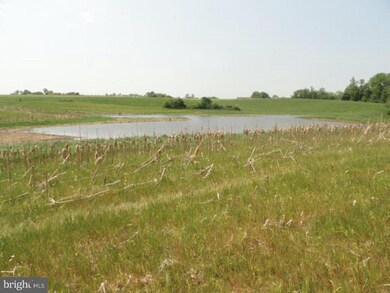 0 Pond Neck Rd unit 1002599580, Earleville, MD 21919 - photo 6