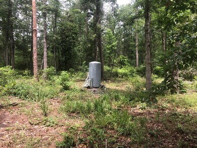 00 Carl Cloud Rd, Climax, GA 39834 - photo 7