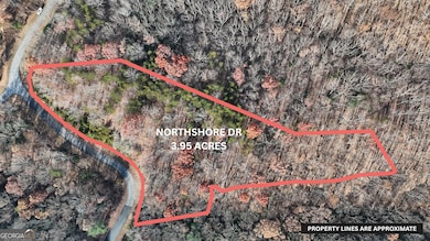 LOT 184 N Shore Dr, Cleveland, GA 30528 - photo 2