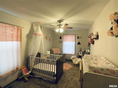 109 S Shaw St, Harrisburg, IL 62946 - photo 6