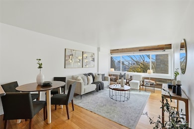 Large open concept living and dining