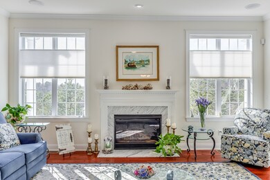 50 Skipping Stone, Plymouth, MA 02360 - photo 5