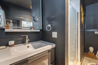 791 W Pacific Ave unit 4- H, Telluride, CO 81320 - photo 6