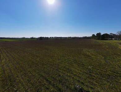 0 Alton Rd, Norman Park, GA 31017 - photo 7