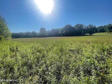 0 Mcmaster Rd unit 4133531, Sarah, MS 38665 - photo 2