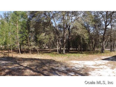 6 Fisher Way Run, Ocklawaha, FL 32179 - photo 3
