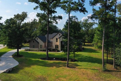 29013 Village Ridge Ct, Magnolia, TX 77355 - photo 6