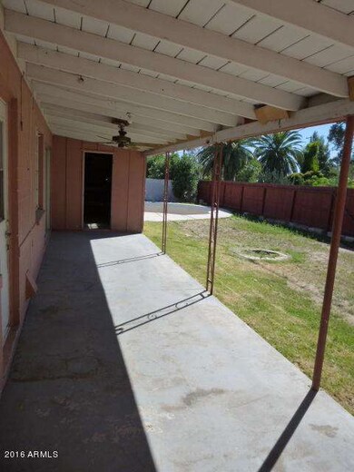 BACKYARD (2)