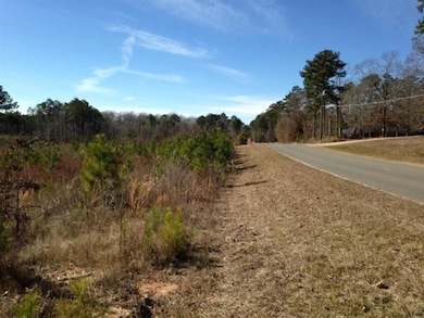 TBD Section Line Rd, Leesville, LA 71446 - photo 4