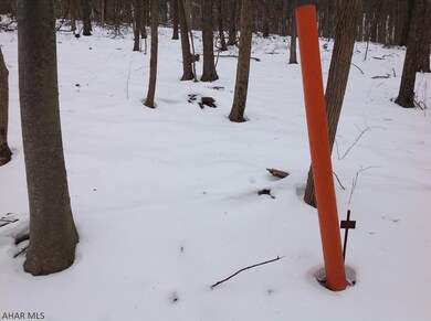 146 Spruce Rd, Bedford, PA 15522 - photo 4