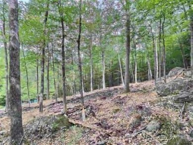 0 Chalk Pond Rd unit 1 4944686, Newbury, NH 03255 - photo 7