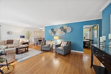 305 Poplar Ln, New Lenox, IL 60451 - photo 3