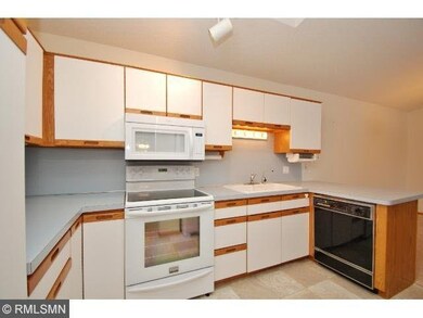 8745 Goldenrod Ln N, Maple Grove, MN 55369 - photo 5