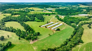 7176 Highway 412, Hindsville, AR 72738 - photo 4