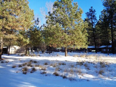 8584 W Elk Rd, Strawberry, AZ 85544 - photo 7