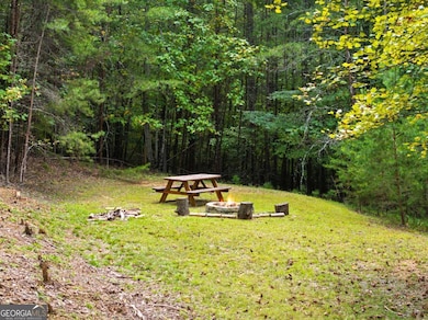 55 Trails End Ln, Morganton, GA 30560 - photo 6