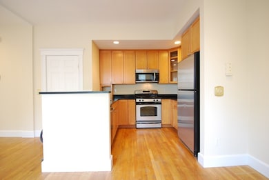 267 Western Ave unit 3, Cambridge, MA 02139 - photo 3