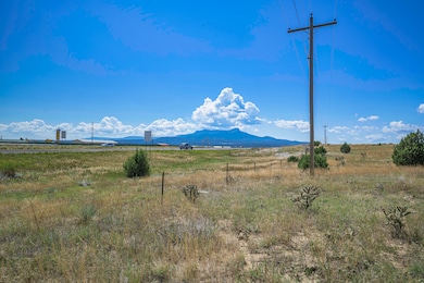 15038 Cr 71 1, Trinidad, CO 81082 - photo 3