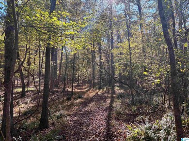 4540 Cabin Rd, McCalla, AL 35022 - photo 7