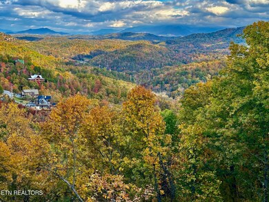 1821 Pinestand Ridge Way, Sevierville, TN 37862 - photo 6