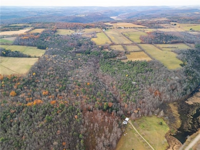 3444 County Route 2, Rathbone, NY 14801 - photo 3