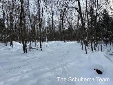 V/L Hickory St, Fruitport, MI 49415 - photo 6