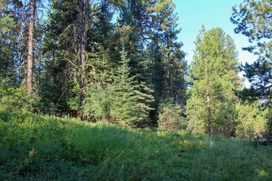 Large Open Meadow