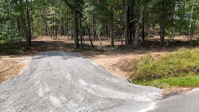 0 Richard Dorning Rd unit Lot001 24538016, Kimmins, TN 38462 - photo 3