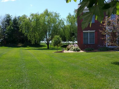 Front and side yard