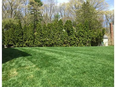 Yard/Garden.