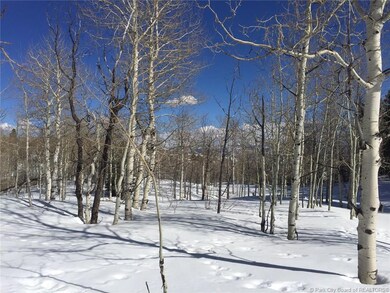 2012 W Modoc Loop, Wanship, UT 84017 - photo 4