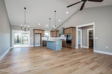 310 Ruby Rose Ridge, Jonesborough, TN 37659 - photo 5