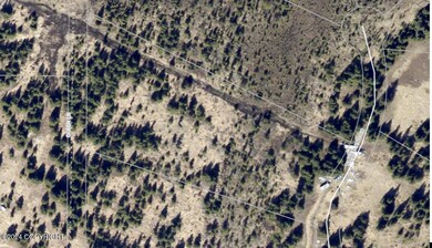 W7 Alaskan Wildwood Ranch(r), Nikolaevsk, AK 99556 - photo 2